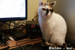 @m1avv - lexi
