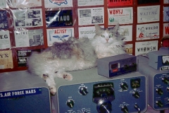 Sassy staying warm on the transmitter3