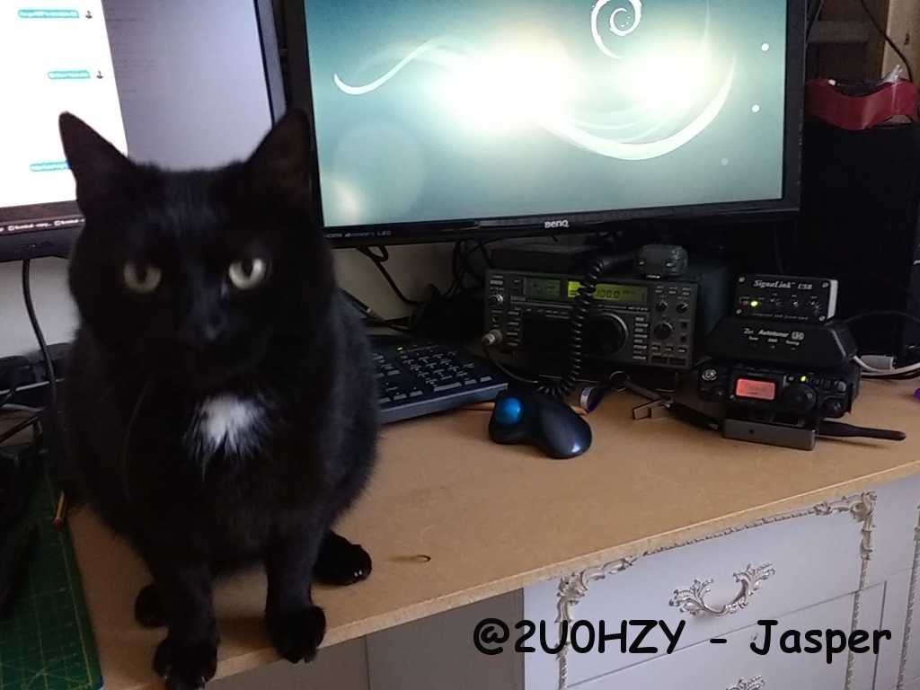 @2U0HZY - Jasper
