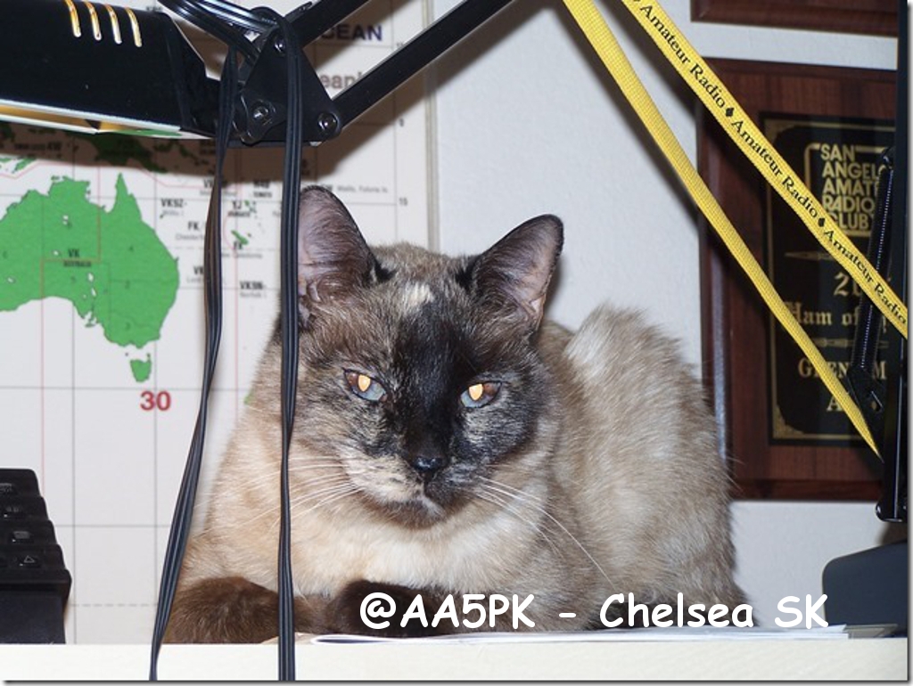 @AA5PK - Chelsea SK