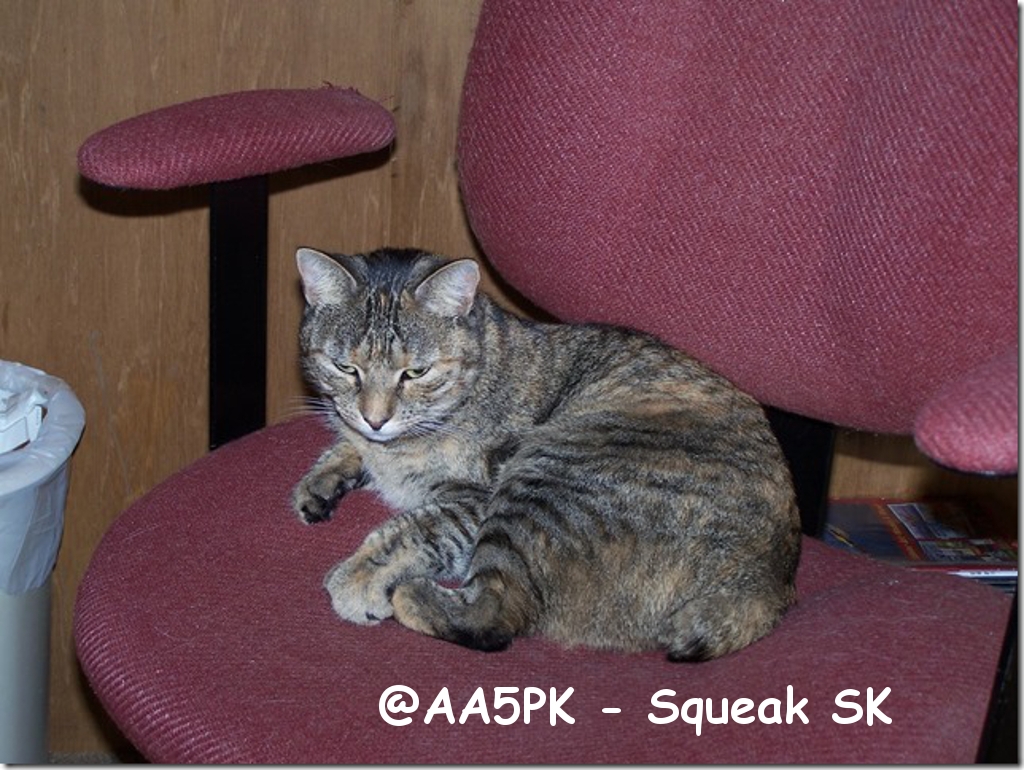 @AA5PK - Squeak SK