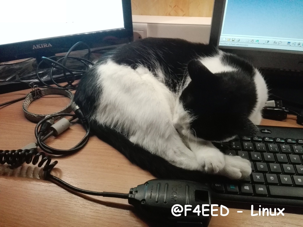 @F4EED - Linux