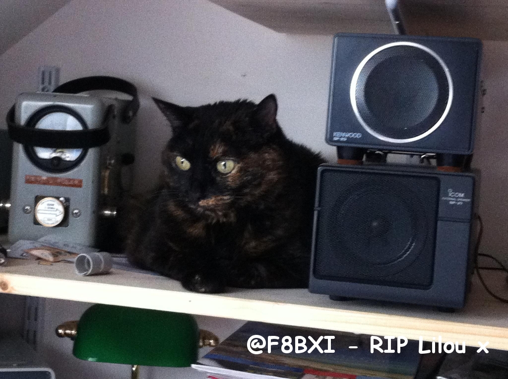@F8BXI - RIP Lilou x