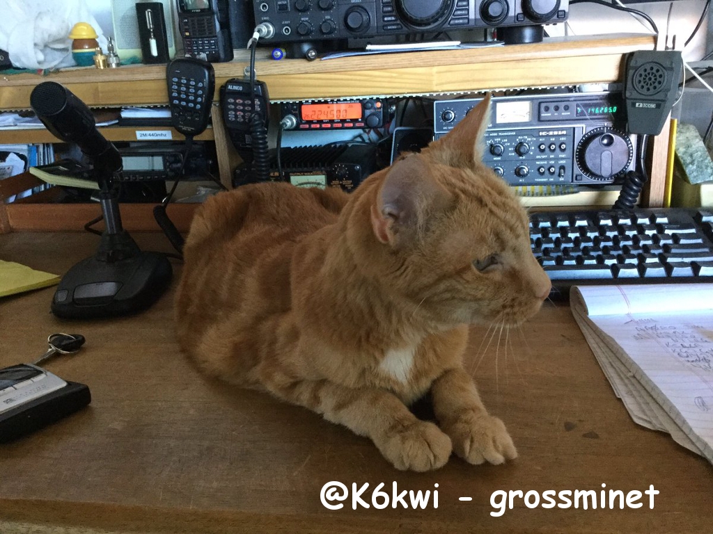 @K6kwi - grossminet