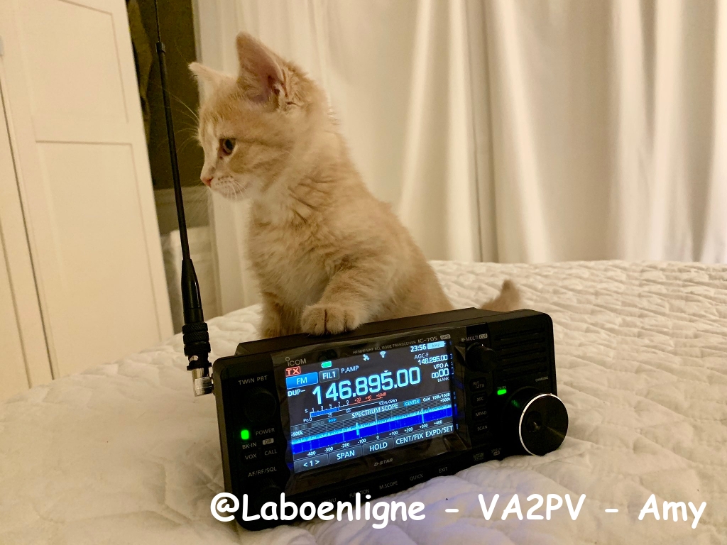 @Laboenligne-VA2PV-Amy