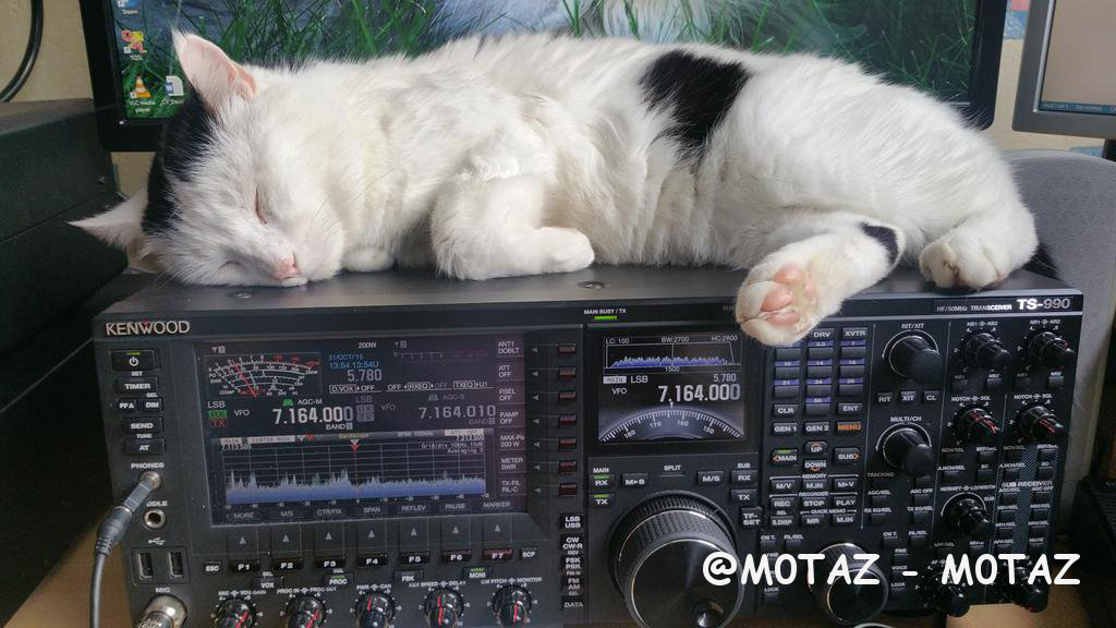 @M0TAZ-M0TAZ
