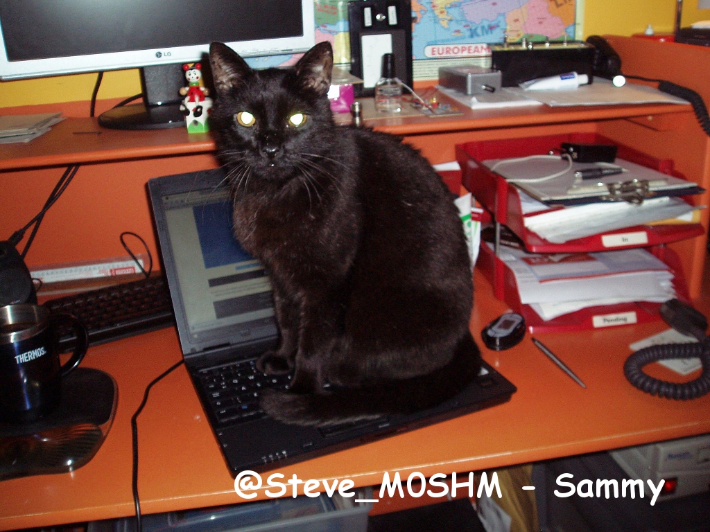 @Steve_M0SHM - Sammy