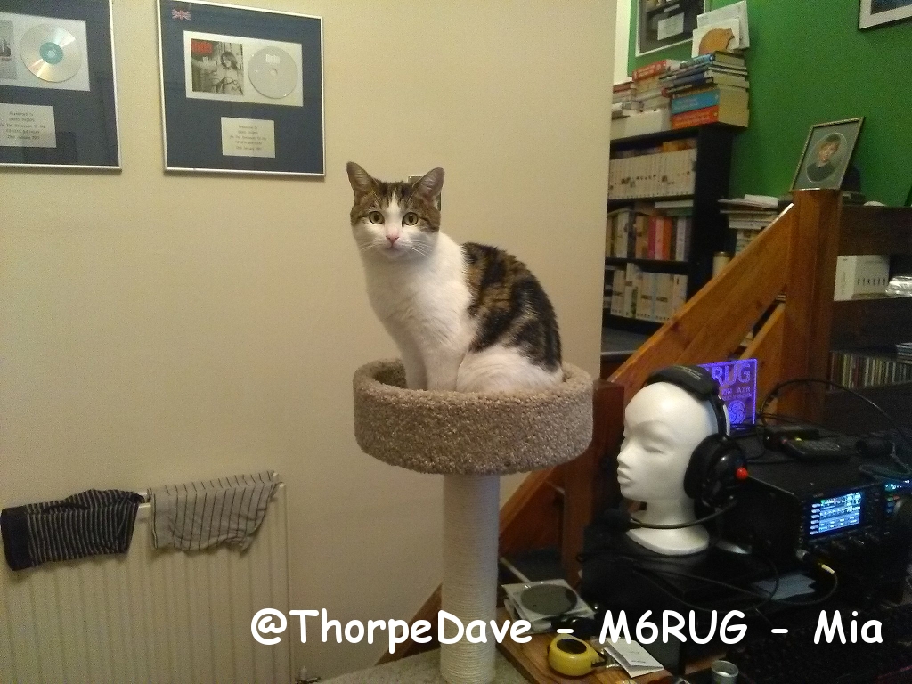 @ThorpeDave - M6RUG - Mia