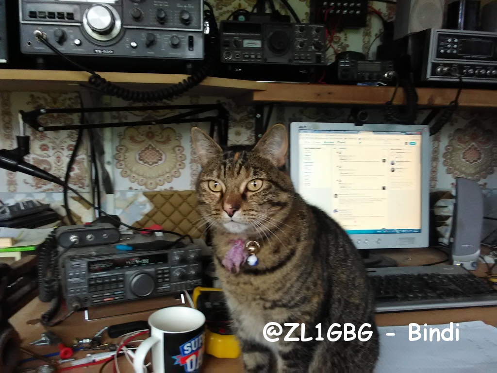 @ZL1GBG - Bindi