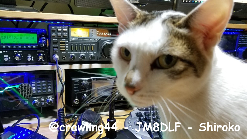 @crawling44-JM8DLF-Shiroko