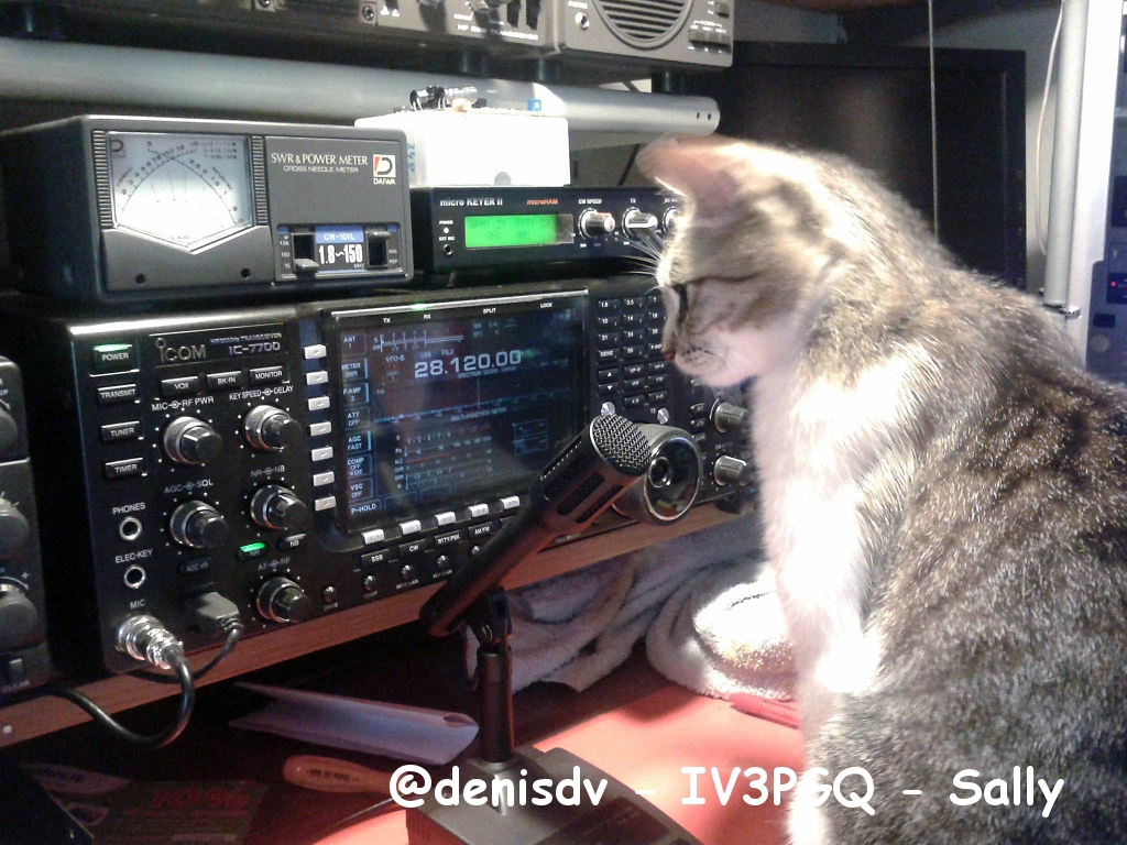 @denisdv - IV3PGQ - Sally