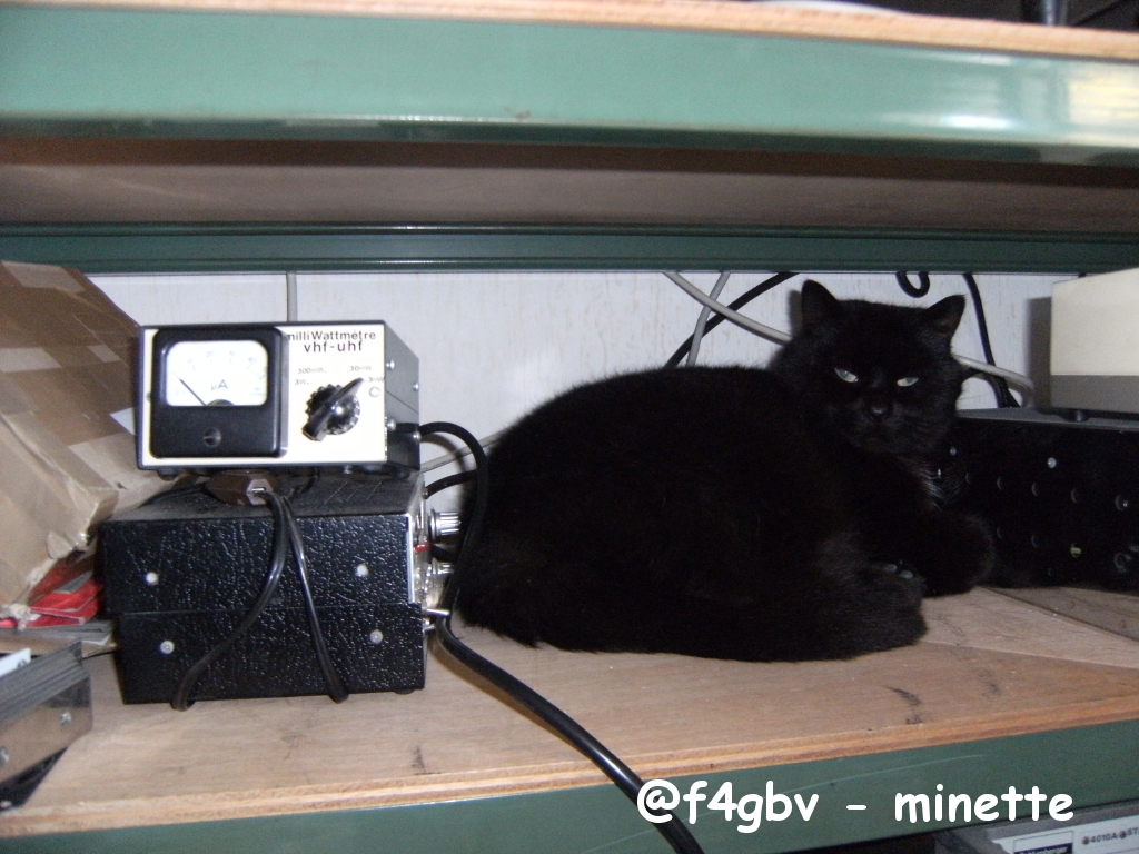 @f4gbv - minette