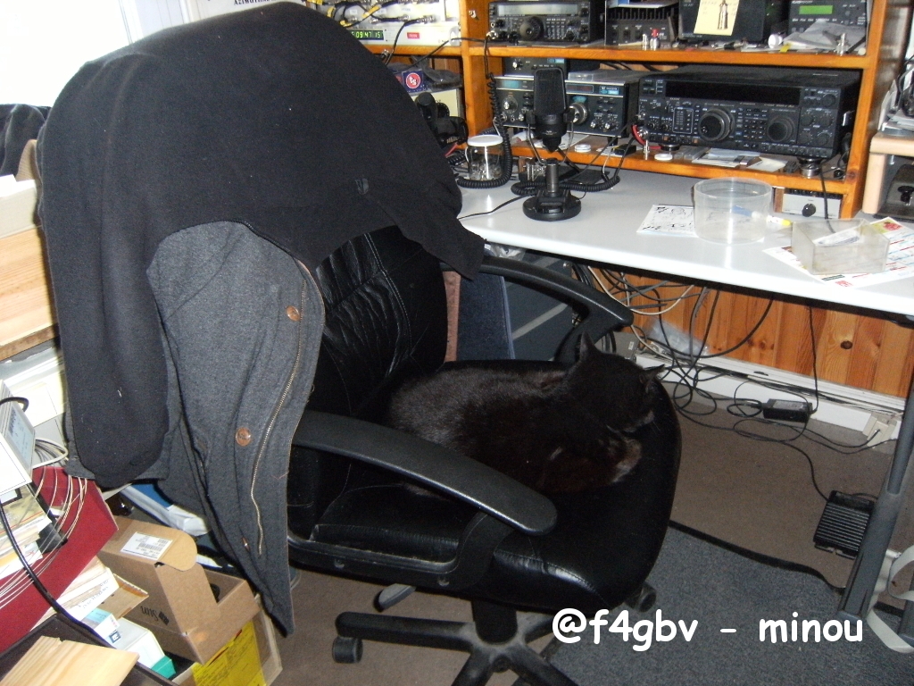 @f4gbv - minou