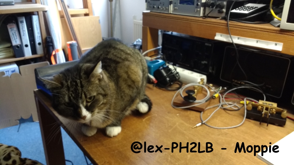 @lex-PH2LB-Moppie