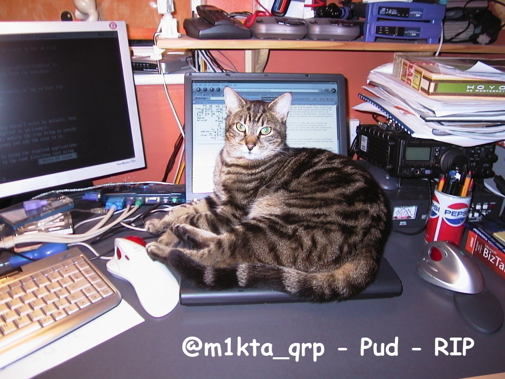 @m1kta_qrp-Pud-RIP