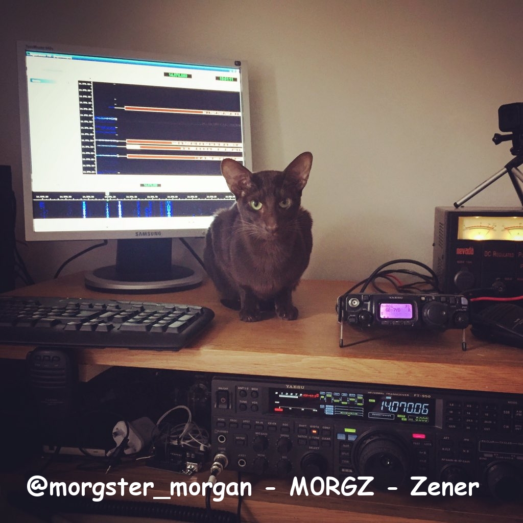 @morgster_morgan - M0RGZ - Zener