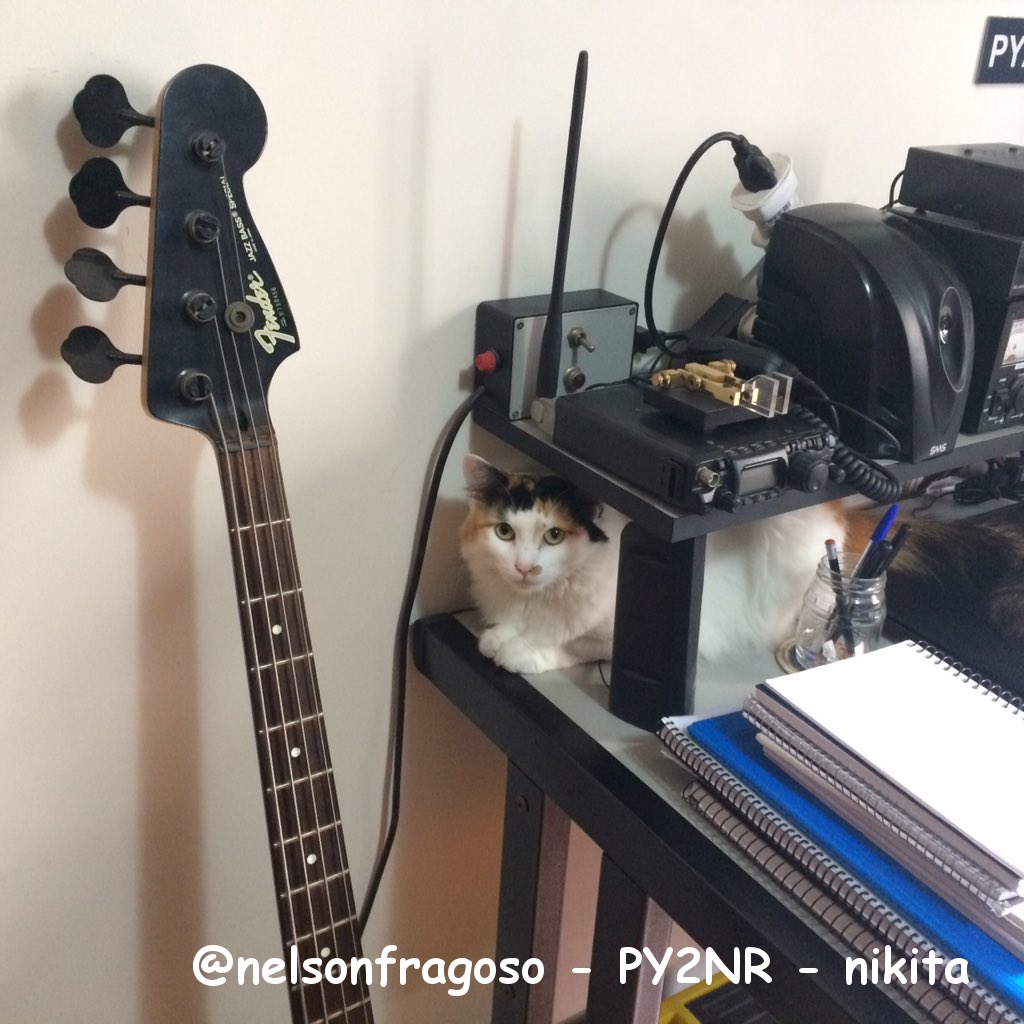 @nelsonfragoso - PY2NR - nikita