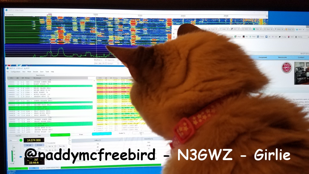 @paddymcfreebird - N3GWZ - Girlie