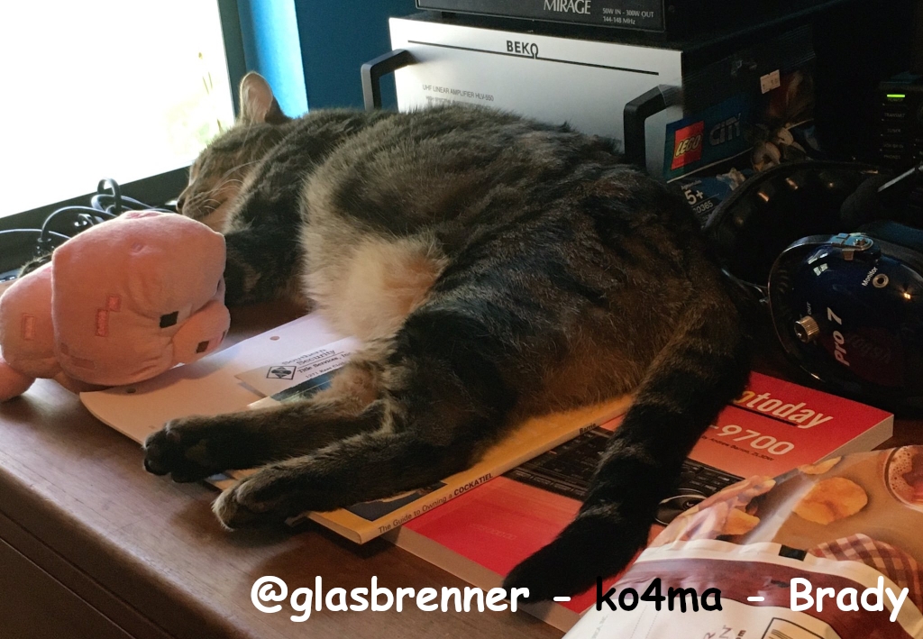 1_@glasbrenner-ko4ma-Brady