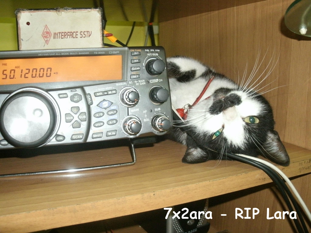 7x2ara - RIP Lara
