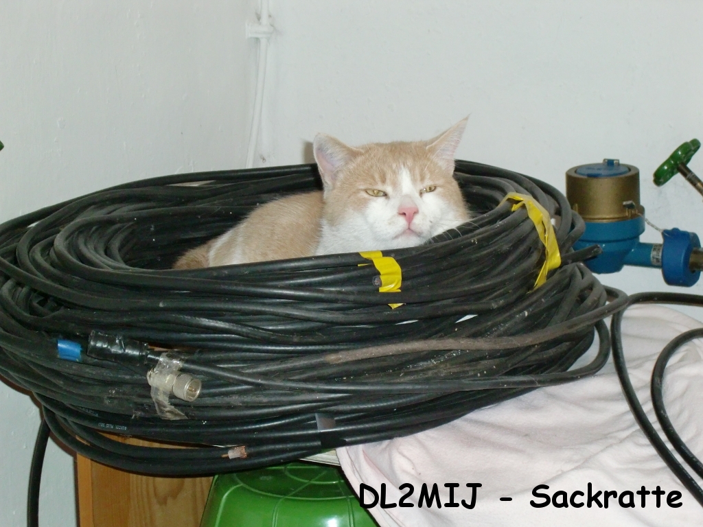 DL2MIJ - Sackratte