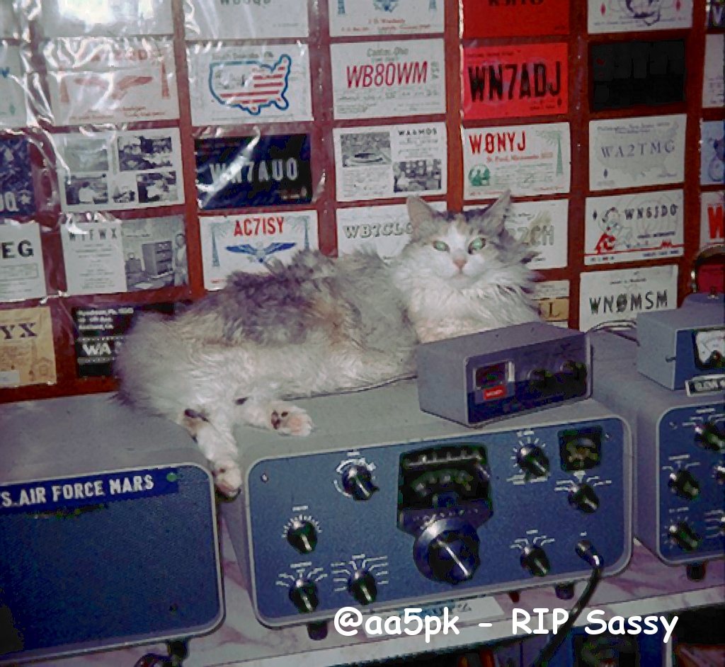 Sassy staying warm on the transmitter3