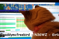 @paddymcfreebird - N3GWZ - Girlie