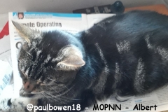 @paulbowen18 - M0PNN - Albert